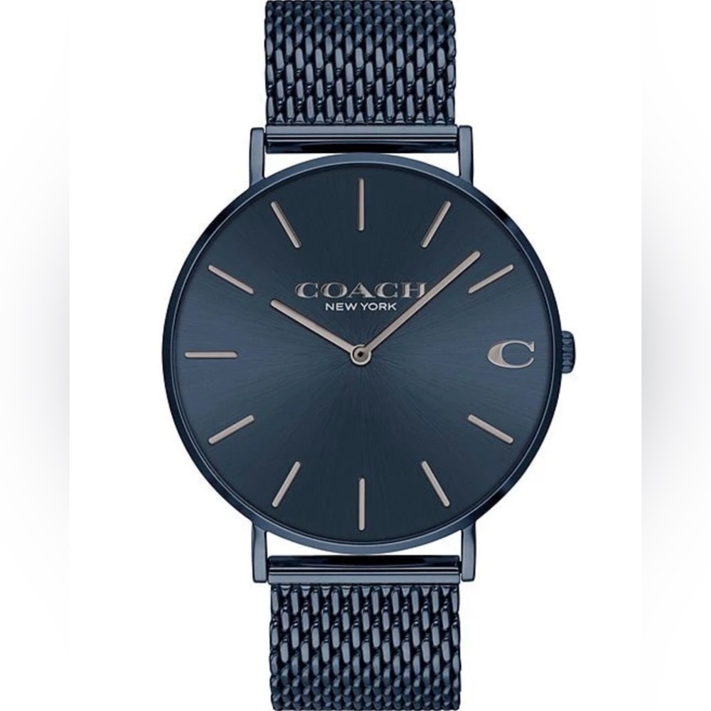 Coach Charles Blue Dial Blue Mesh Bracelet Watch For Men